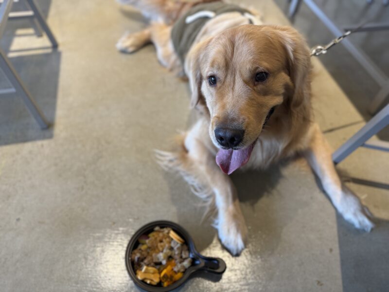 【岡崎】山田農園 FARM&DOGS